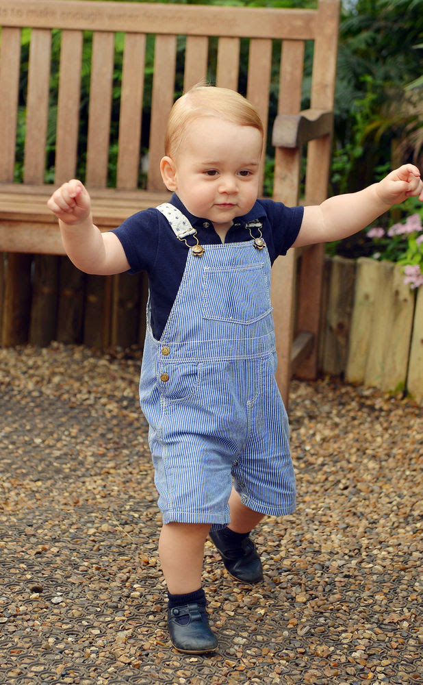 Prince George's first birthday portrait