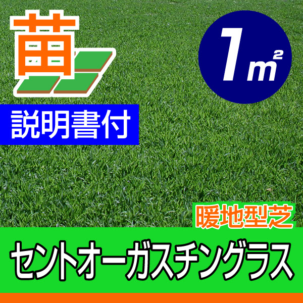 日陰に芝生は植えられる 芝生 芝刈り機のことならバロネスダイレクト 芝生 芝刈り機のことならバロネスダイレクト
