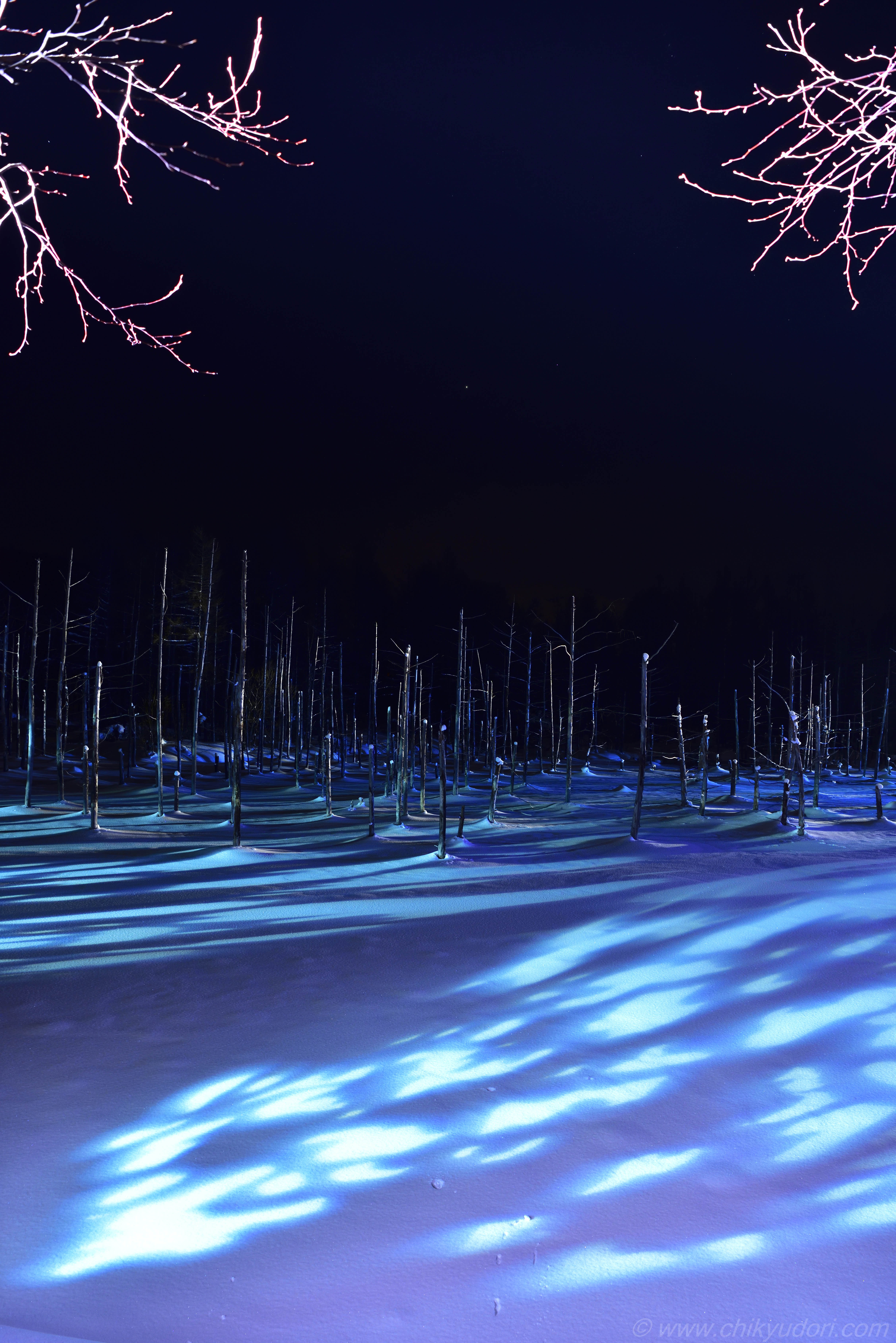 美瑛町の青い池 地球の撮り方