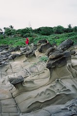 圖片