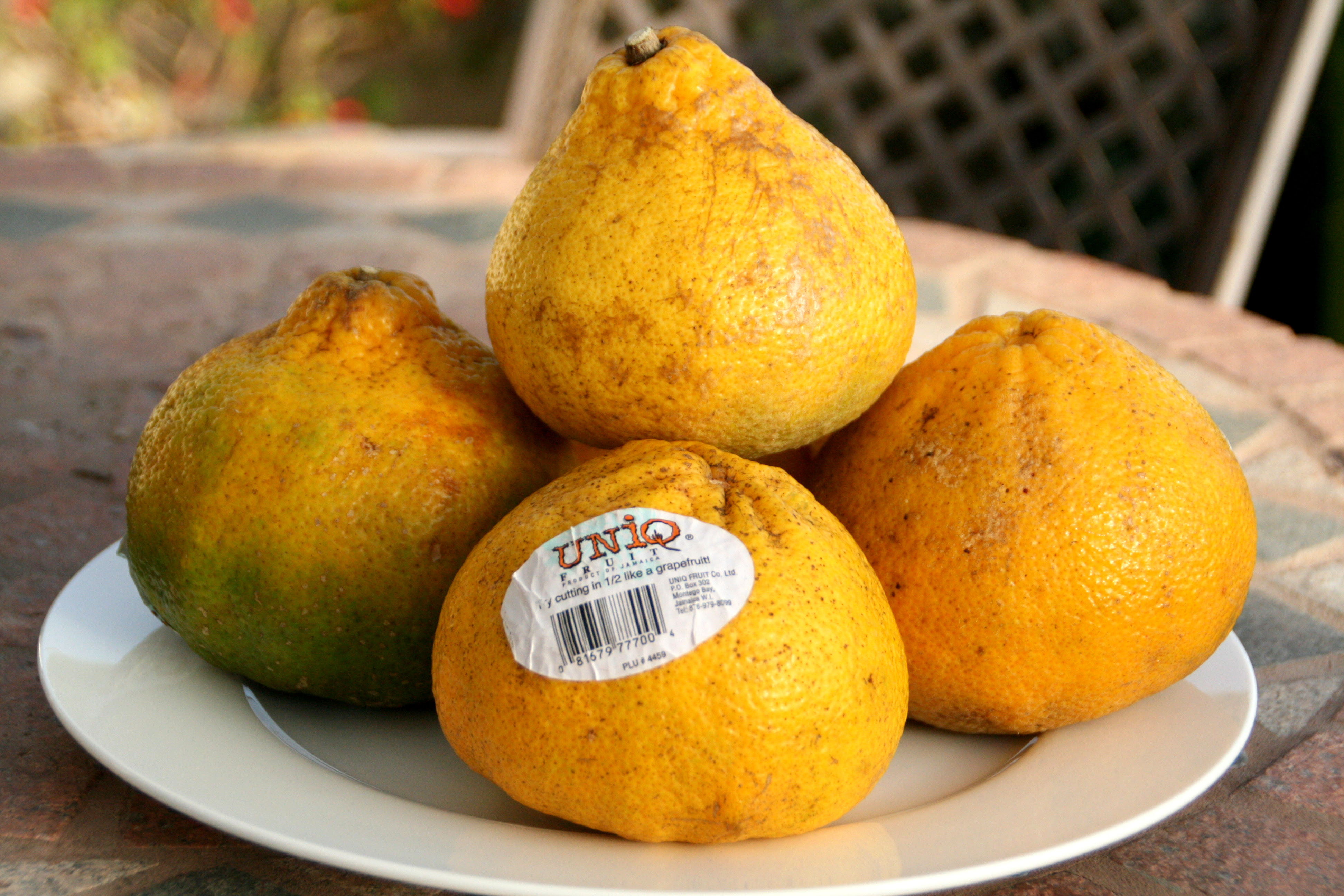 introducing ugli fruit or uniq fruit (and an ugli basil martini)