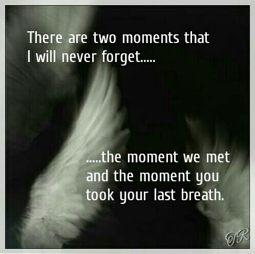 I Will Never Forget You Quotes Death Picture 16 Quotesbae