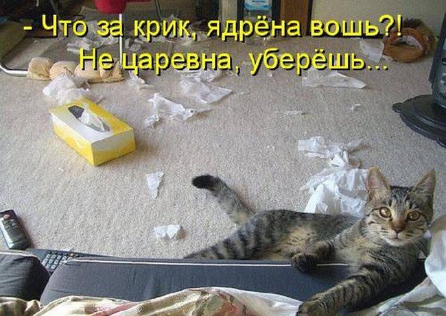 Смешные фото животных с надписями (28 шт.)