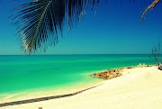 38+ Konsep Baru Sarasota Florida Beaches