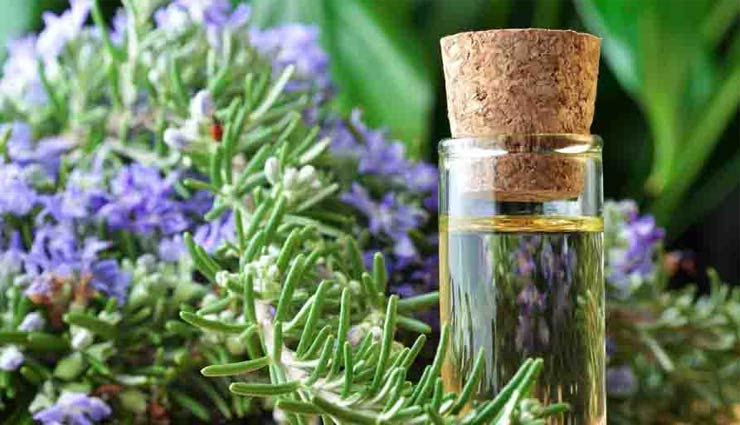 beauty,beauty tips,regular skin care,oils for skin,skin care tips,beauty oils