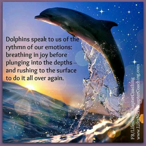 dolphin love images  pinterest dolphins common dolphin