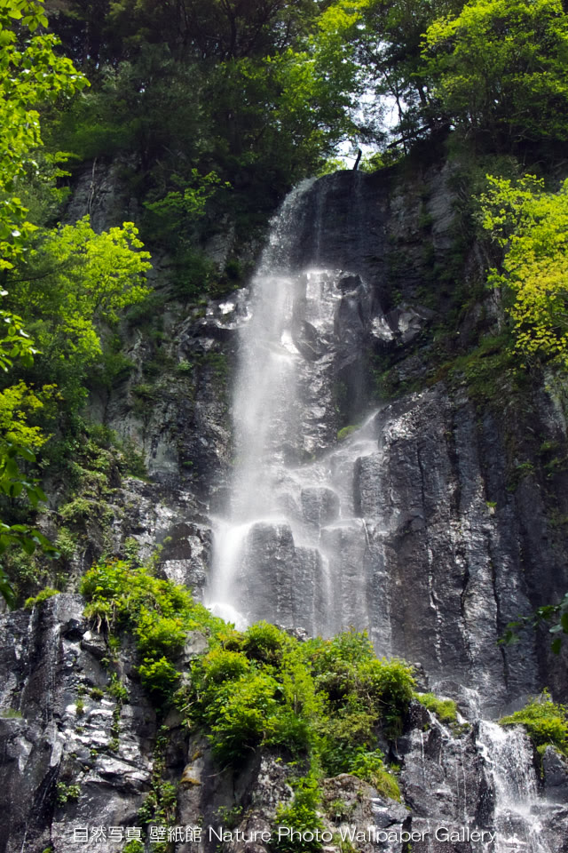 Free Iphone 4s Wallpaper Nature Landscapes 新緑の滝 Waterfall Iphone 壁紙館