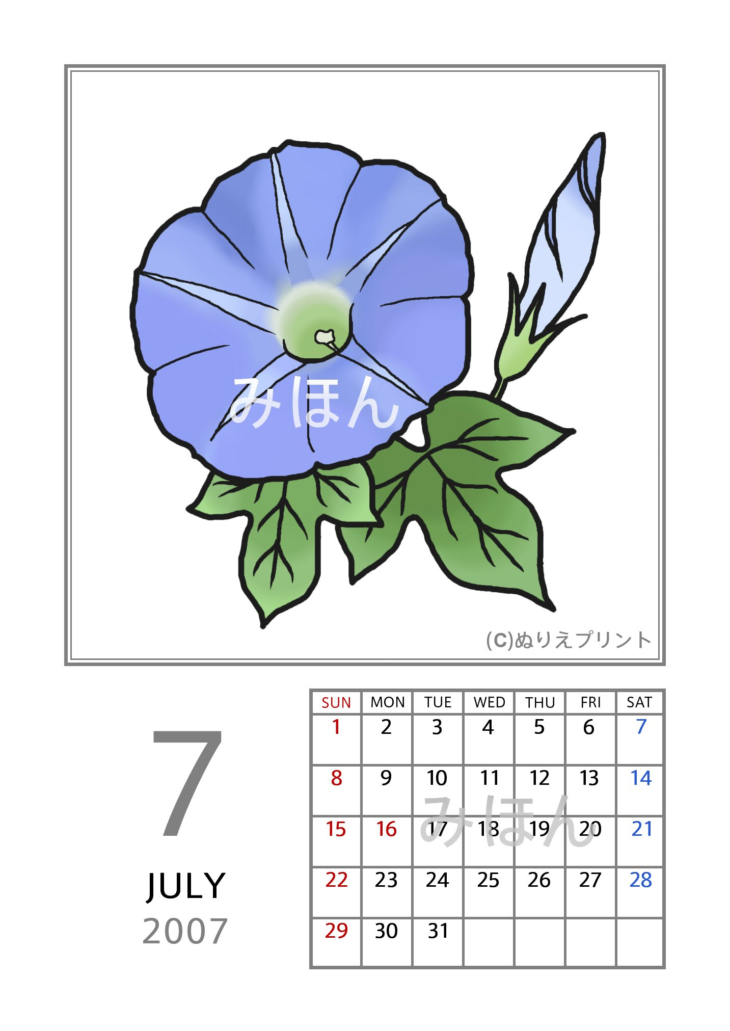 無料の塗り絵 花のぬりえカレンダー07 平成19年 7月 アサガオ 朝顔 ぬりえイラスト