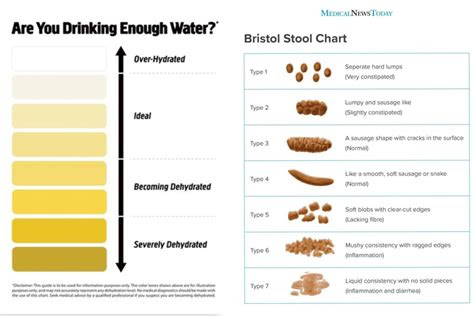 The seven different classifications of stool on the bristol stool chart help clinicians understand the types and … medical stool color chart