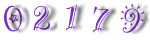 count website hit