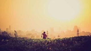 Roots of Resilience: Unearthing the Microbes Protecting Our Food