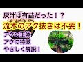 √100以上 流木 アク抜き ハイター 649630-流木 アク抜き ハイター