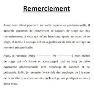 exemple cv bac pro commerce   45