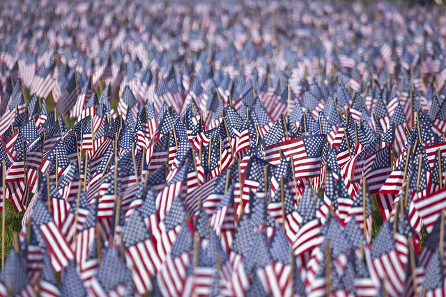 American Flags Planted in Boston Common