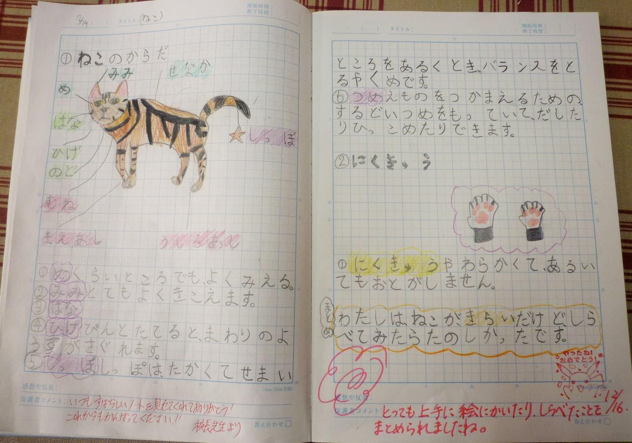 ブログ 公式ホームページ