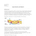Egg Osmosis Lab Pdf : Egg Osmosis Lab Report Breanna Stalls Miss Johnson Ib Juniors 30 November 2016 Egg Osmosis Lab Introduction During This Lab The Permeability Of Cell Course Hero / The experiment is aimed at giving a better understanding of osmosis process and the different experiment conditions under which osmosis occurs.