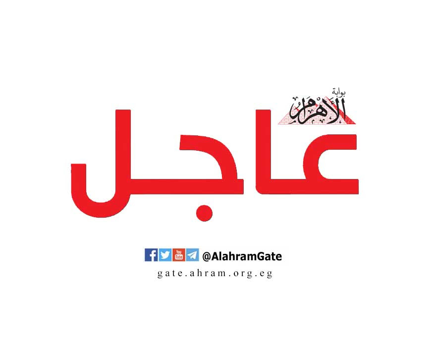 الرئيس السيسي ورئيس غينيا بيساو يبحثان جهود مكافحة الإرهاب والفكر المتطرف والهجرة غير الشرعية ...