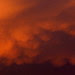 Mamatus