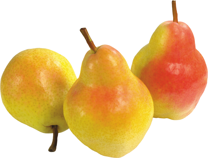Download Pear Asian Free Transparent Image HQ HQ PNG Image Free