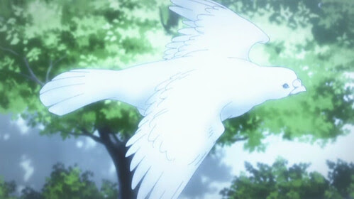 Dove