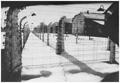 47 Add to COD5: Survive the Electric Fence in Nazi Zombies by 