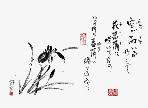 今月の言葉 13年5月の言葉