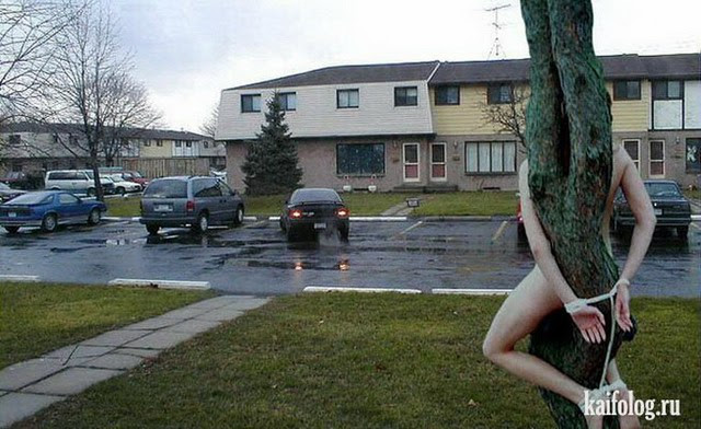 Фотоподборка недели (15 - 21 октября 2012)