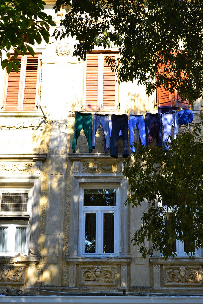 DSC_0222
