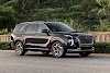 Hyundai Palisade Costa Rica : Palisade Safety Suv Hyundai Worldwide / Hyundai designed this vehicle with a special alloy, with an automatic cooling system in case of fire as well as bulletproof windows.