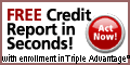 Experion Credit Score