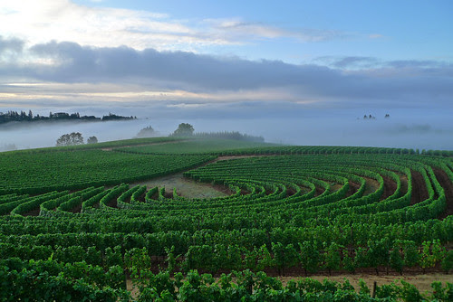 Willamette Valley, Oregon