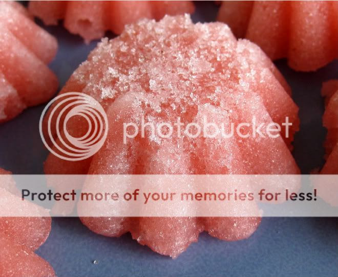 IMG_2835.jpg picture by seshet27