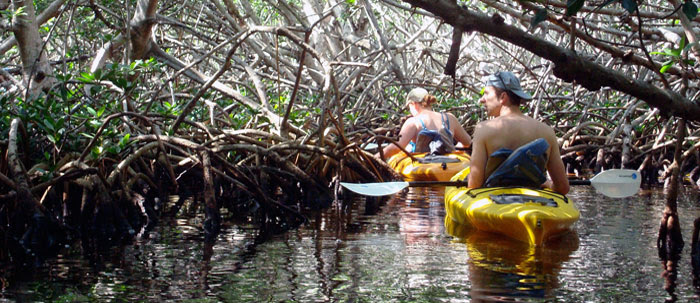 people kayaking