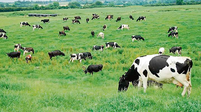 Resultado de imagen de agricultura y ganaderia