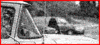 http://i20.photobucket.com/albums/b245/BelleRose78/TDMsmallbutton.gif