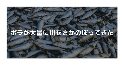 イメージ