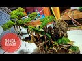 Cara Membuat Aquascape Mini Air Terjun