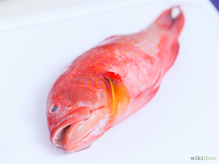 Poach a Fish Step 11.jpg