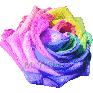 薔薇の花 レインボーローズ のイラスト 条件付フリー素材集