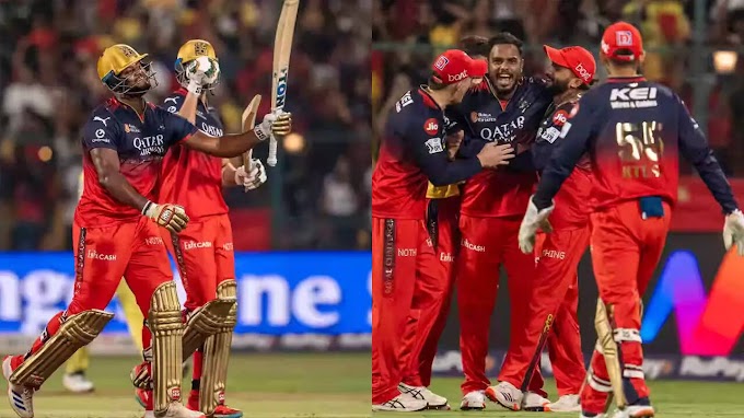 IPL: Shepherd's carnage, Dayal's ice-cold finish take RCB to the top