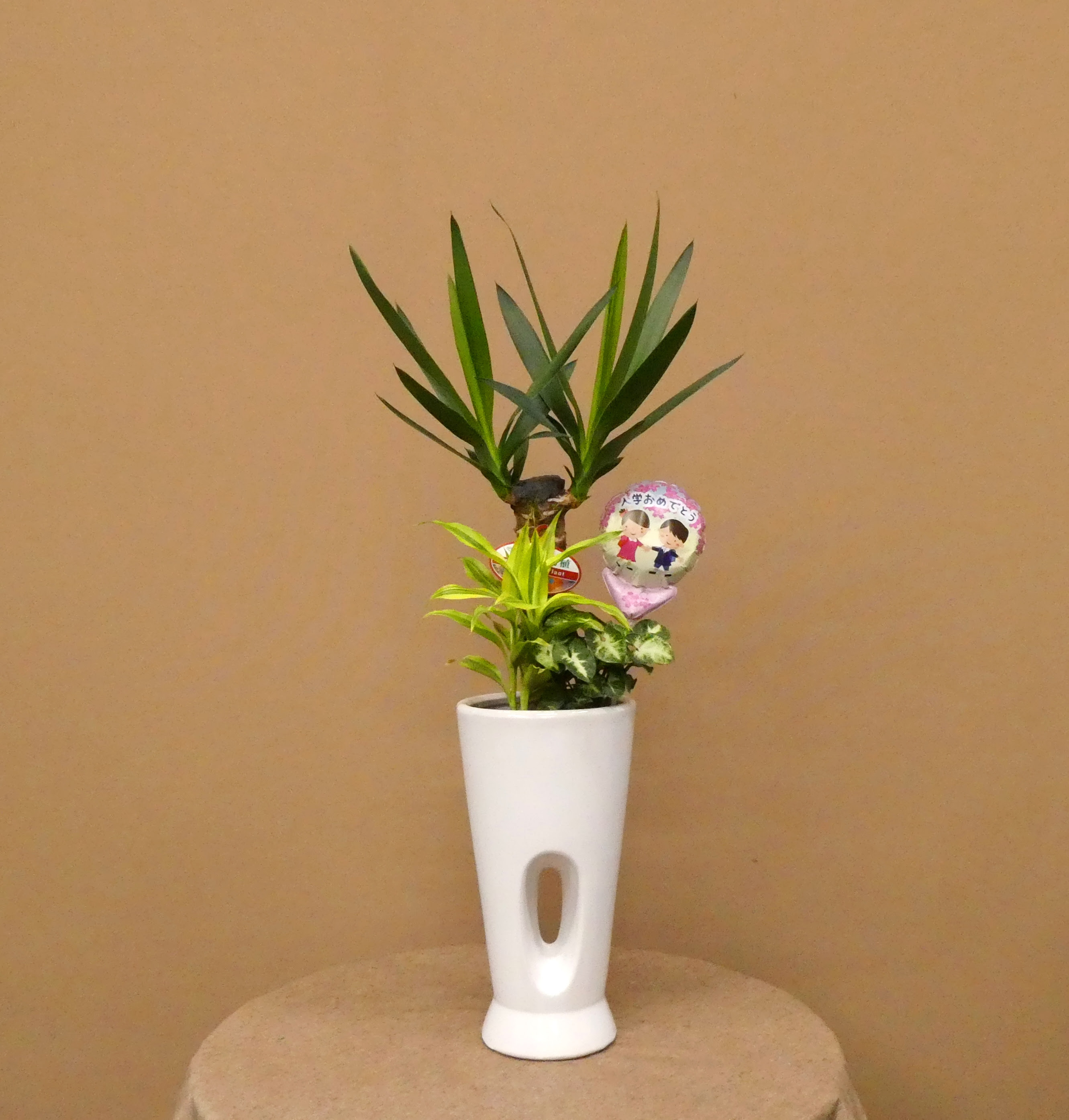 入学祝い 青年の木寄せ植え