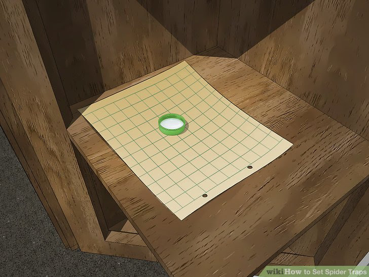 Set Spider Traps Step 4 Version 5.jpg