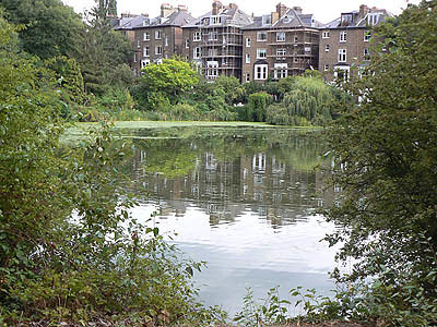 pond 2.jpg