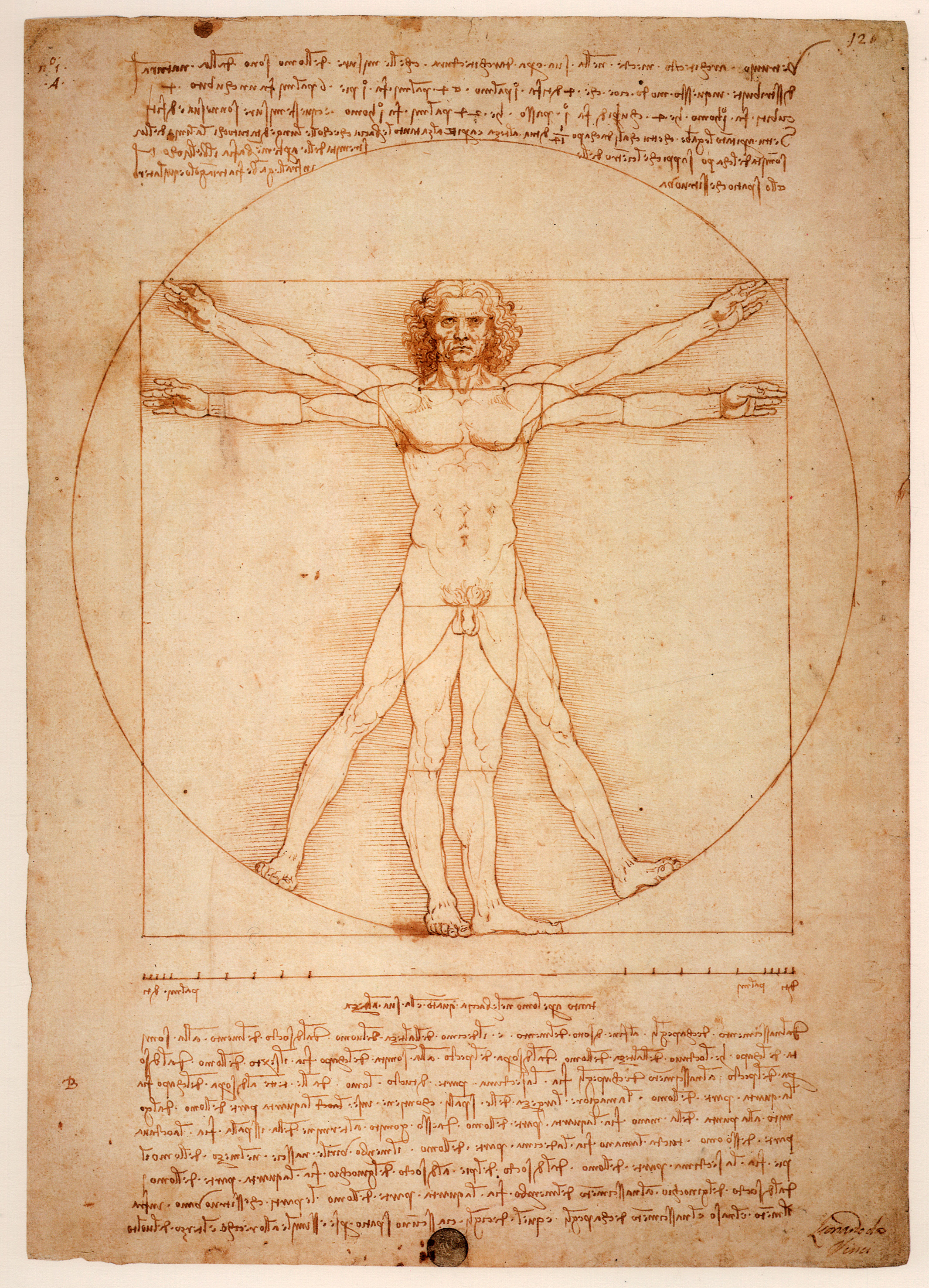 Astonishing Drawings & Paintings By Leonardo da Vinci ...