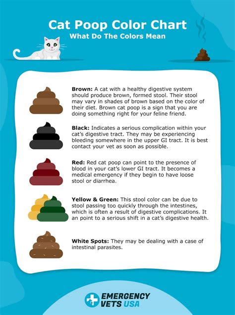  color of your poop chart stool color changes and chart what does it