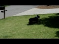 Video Nikon D3200 / 1080 / 30p sample video