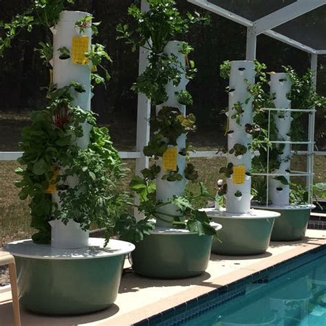 Advertisement house plants bring the fresh beauty of the outdoors inside your home. Grow Vegetables, Herbs, Fruits and Flowers - Tower Garden