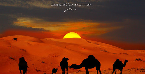The story of a thousand nights and night