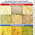 why is my poop green stool colors explained stool quality chart for - free 7 sample stool color chart templates in pdf pin on medical | stool color chart dark brown