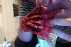 Makeup Tutorial With Little Hands